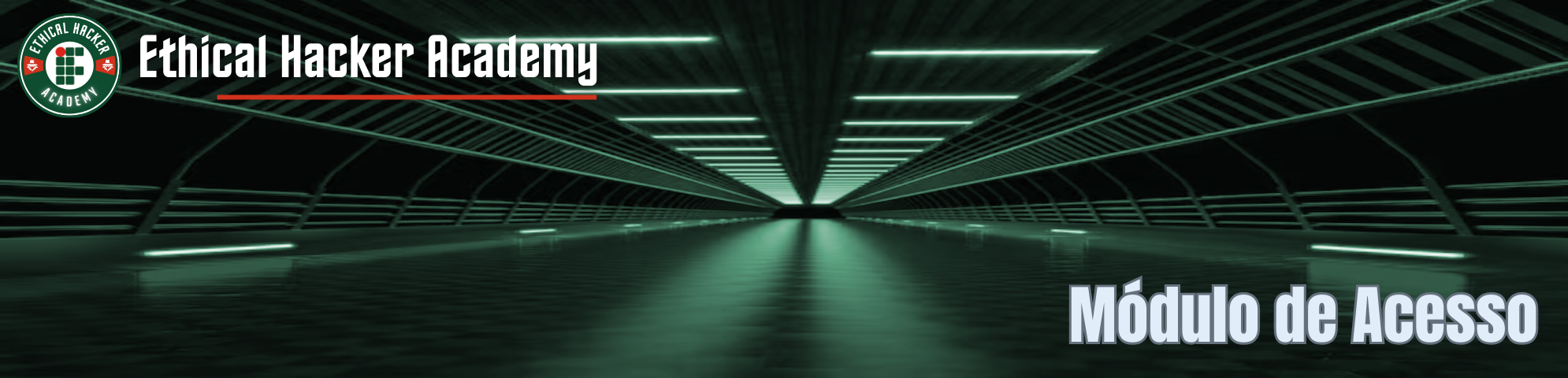 Website do Prof. Ricardo Kléber